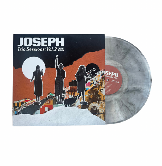 Trio Sessions Vol. 2 Vinyl
